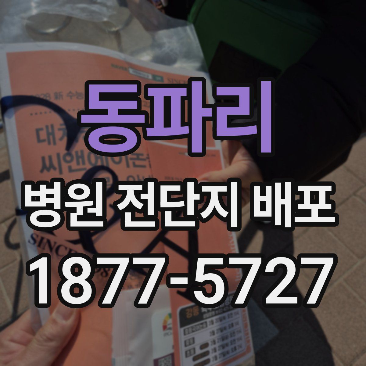 동파리 병원 전단지 배포