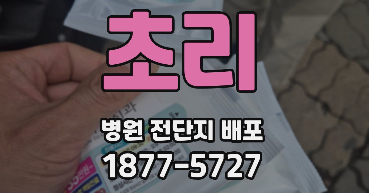 초리 병원 전단지 배포