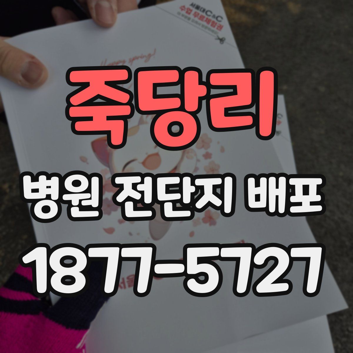 죽당리 병원 전단지 배포