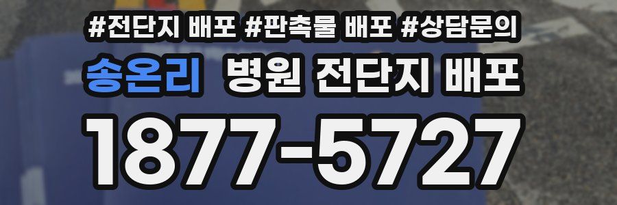송온리 병원 전단지 배포