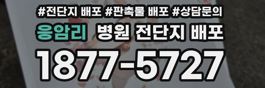 응암리 병원 전단지 배포