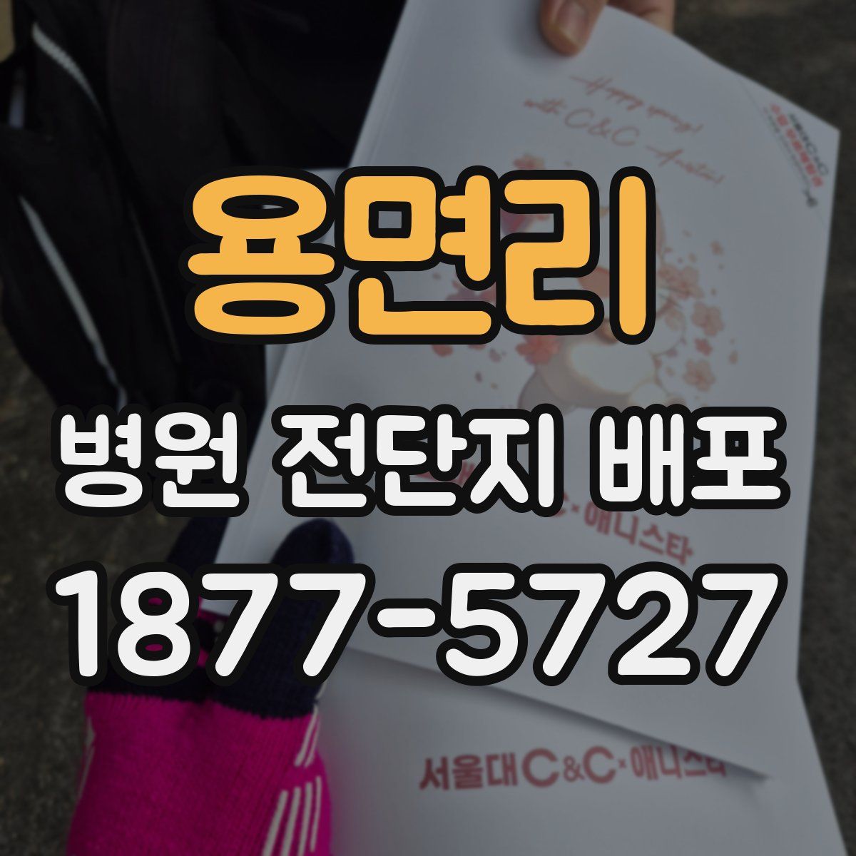 용면리 병원 전단지 배포