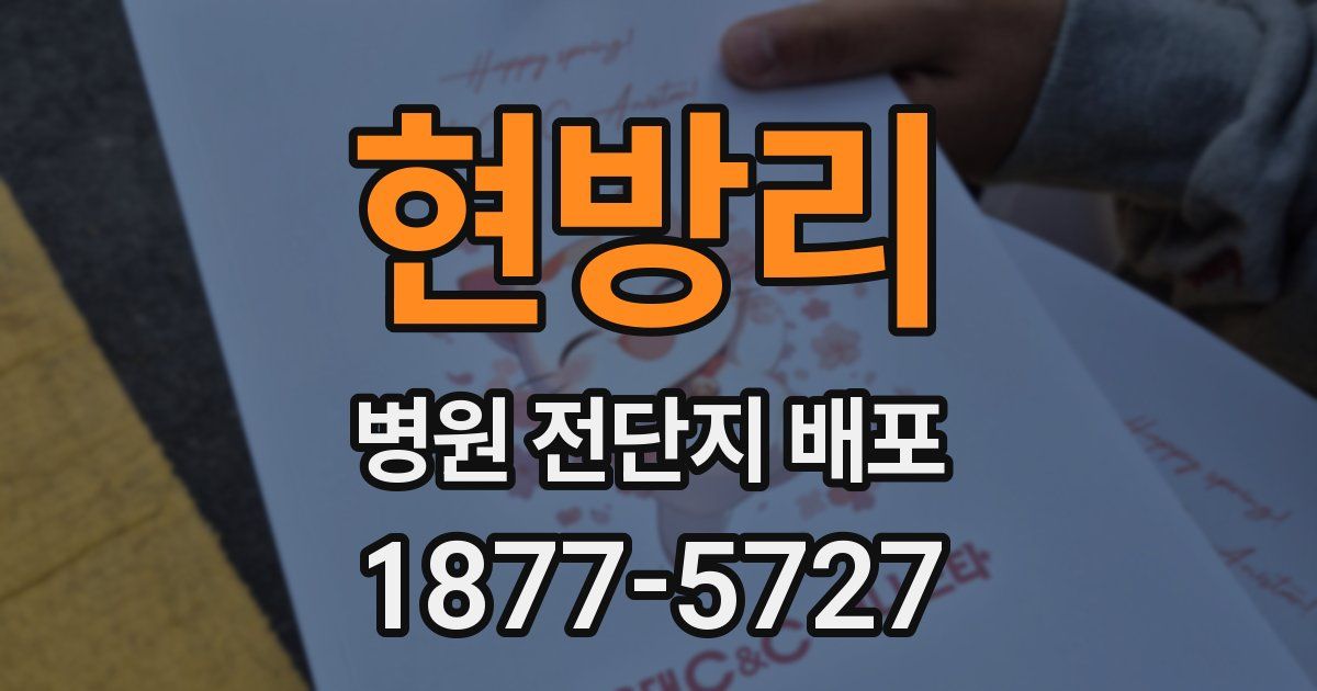 현방리 병원 전단지 배포