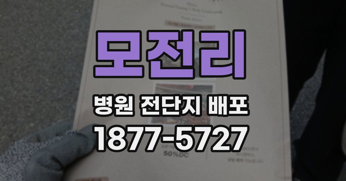 모전리 병원 전단지 배포