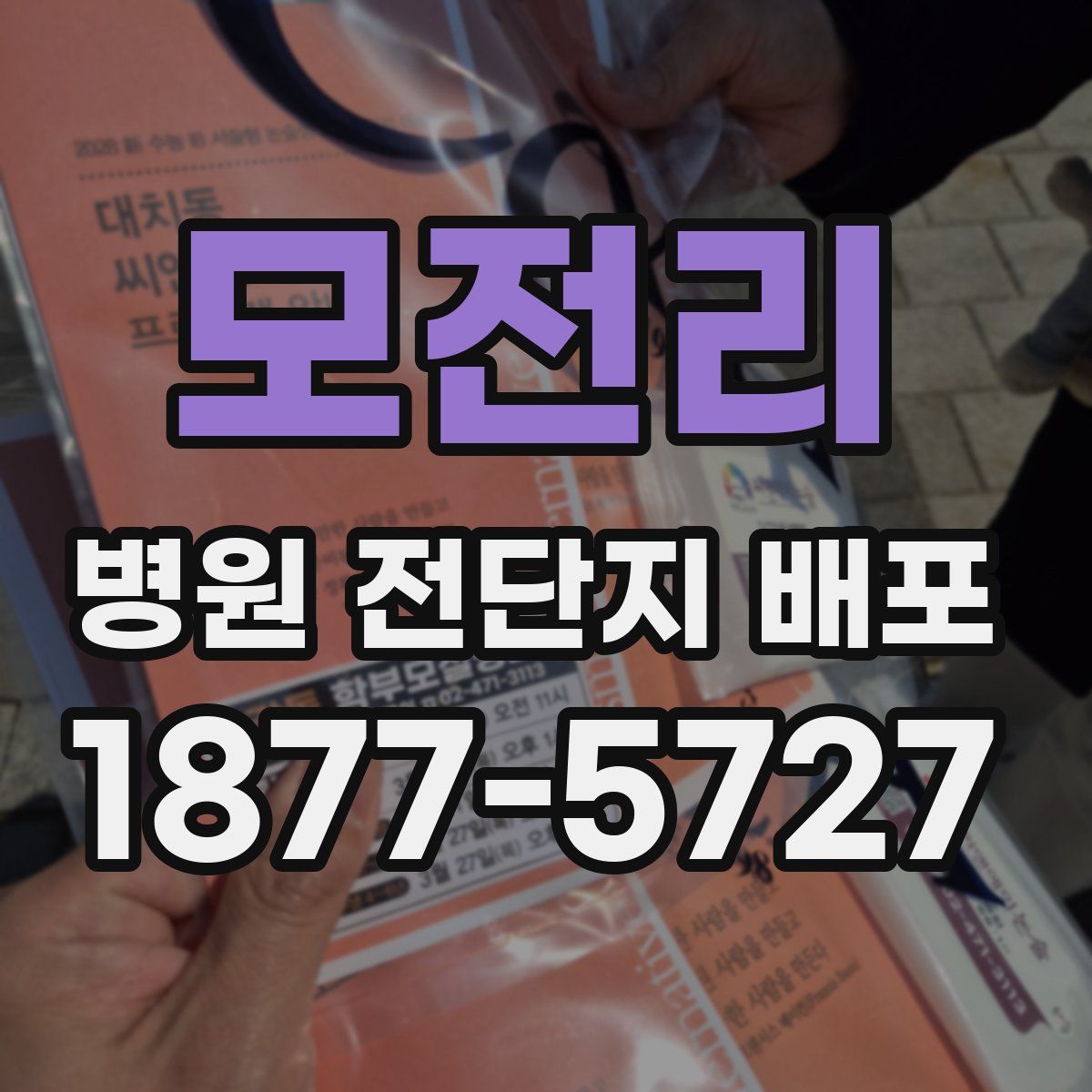 모전리 병원 전단지 배포
