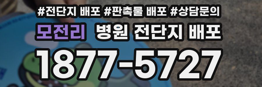 모전리 병원 전단지 배포