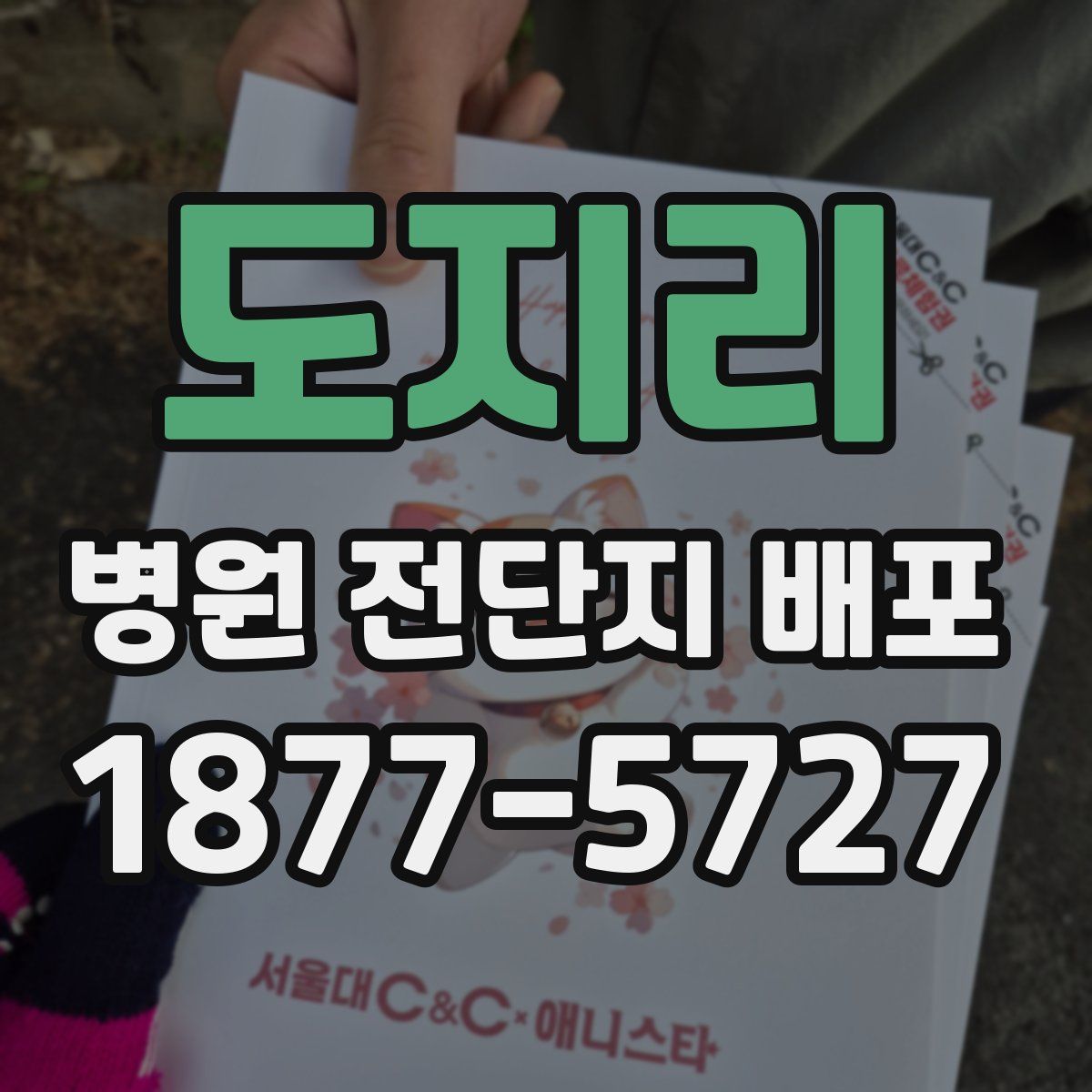 도지리 병원 전단지 배포