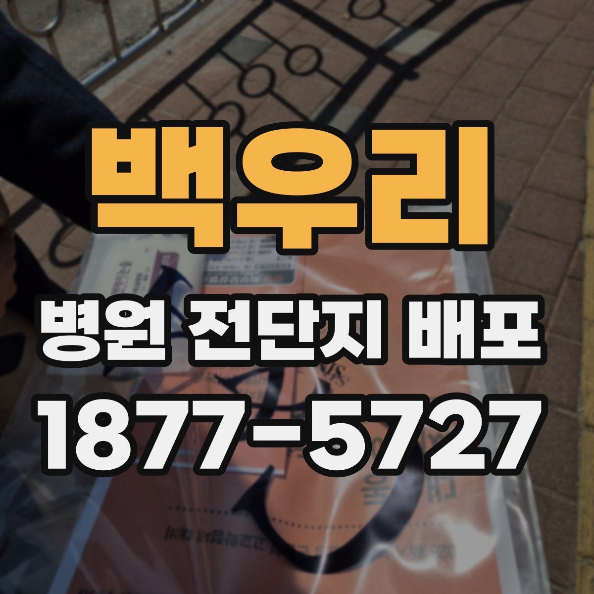 백우리 병원 전단지 배포
