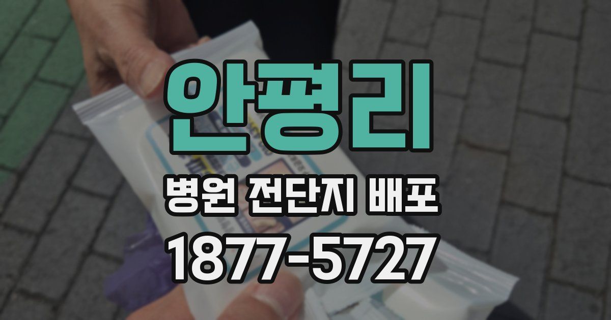 안평리 병원 전단지 배포