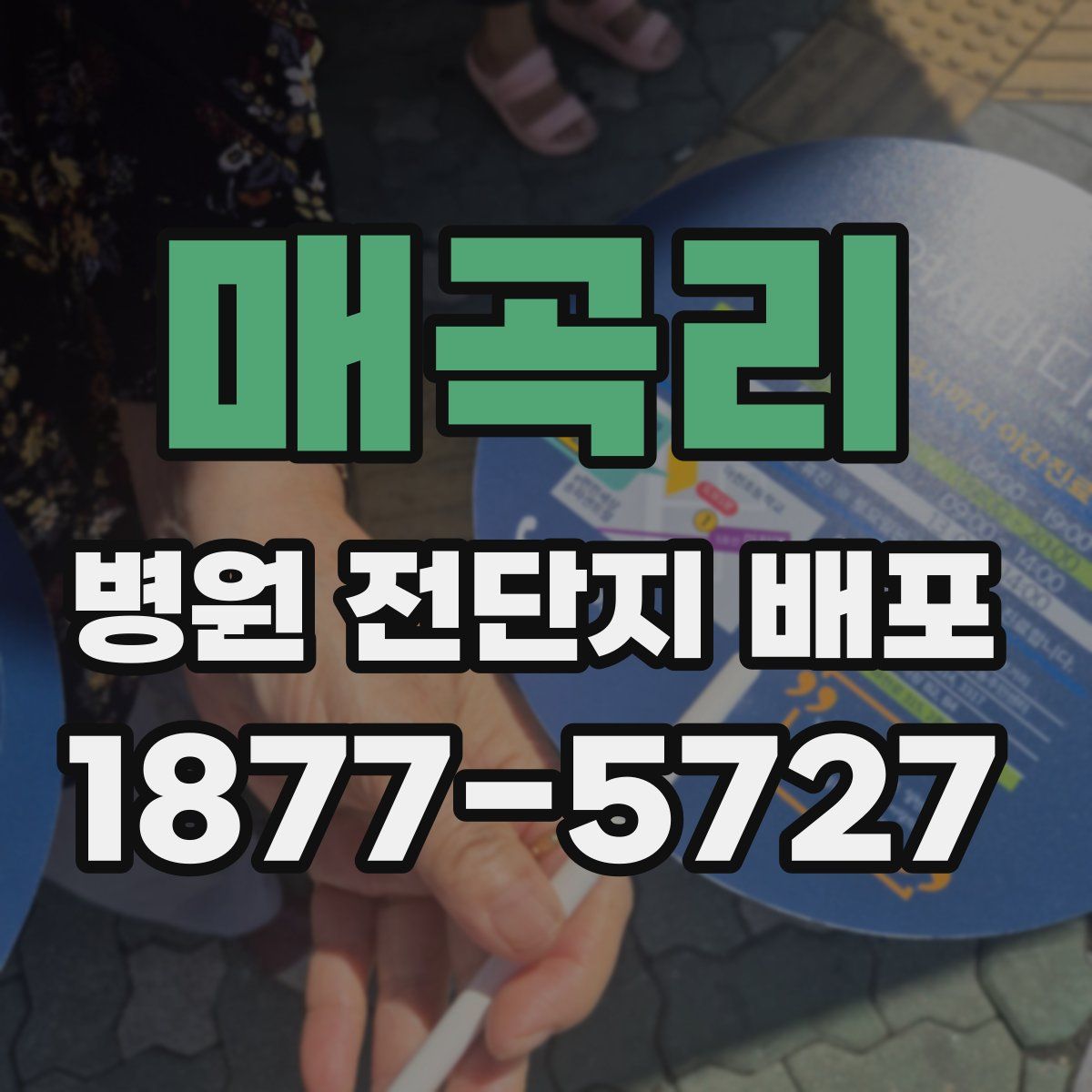 매곡리 병원 전단지 배포