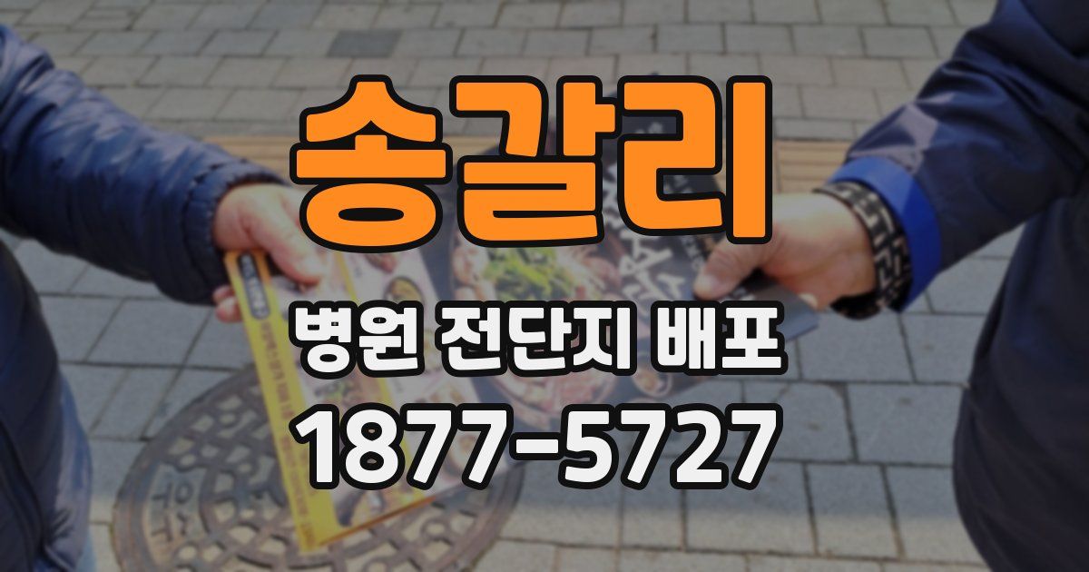 송갈리 병원 전단지 배포