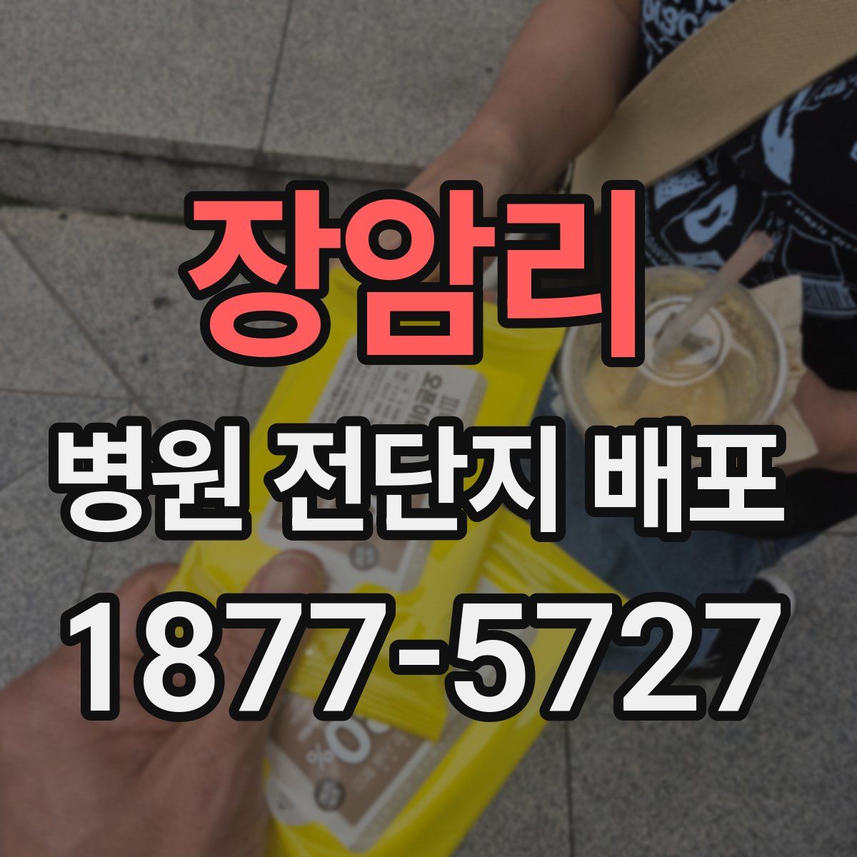 장암리 병원 전단지 배포