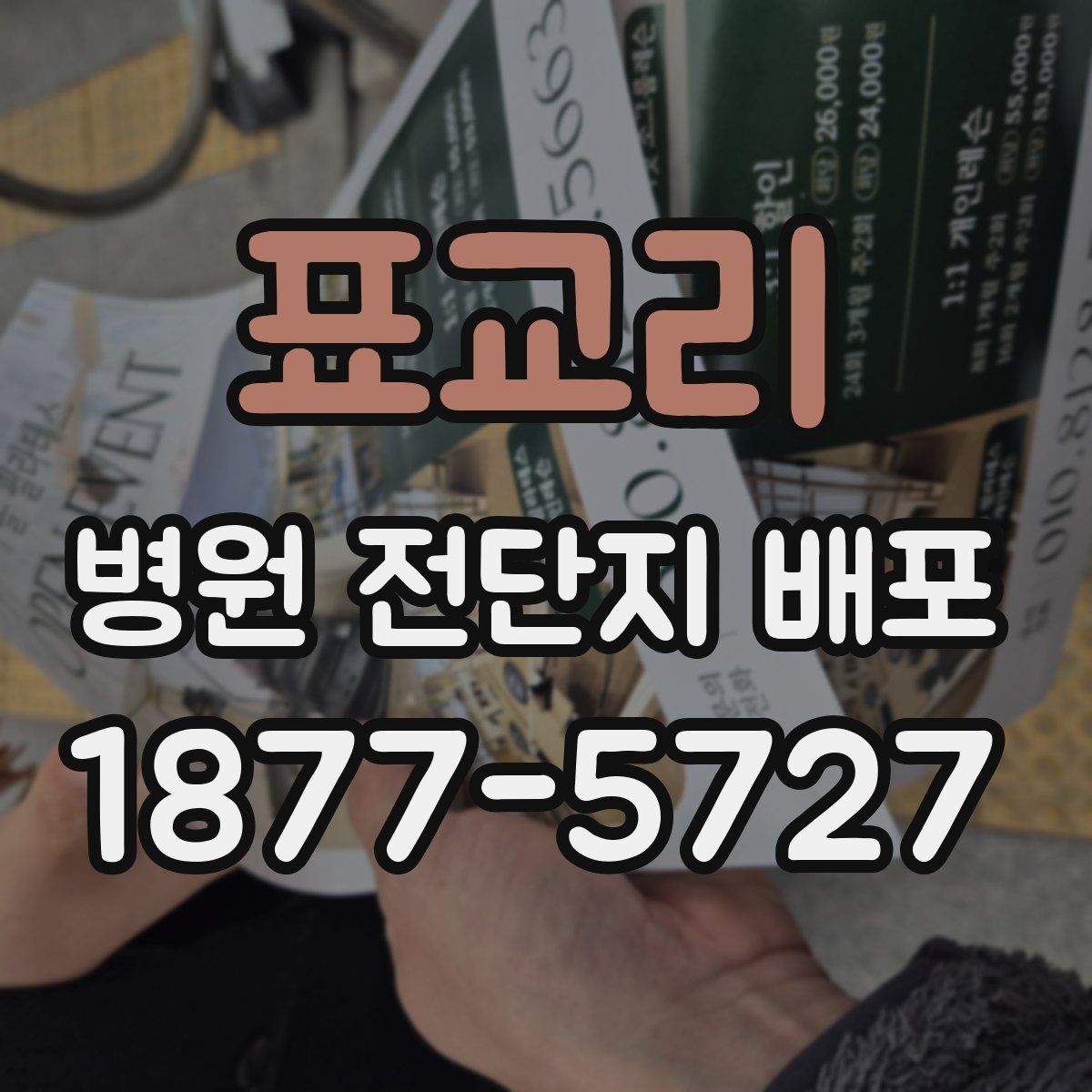표교리 병원 전단지 배포
