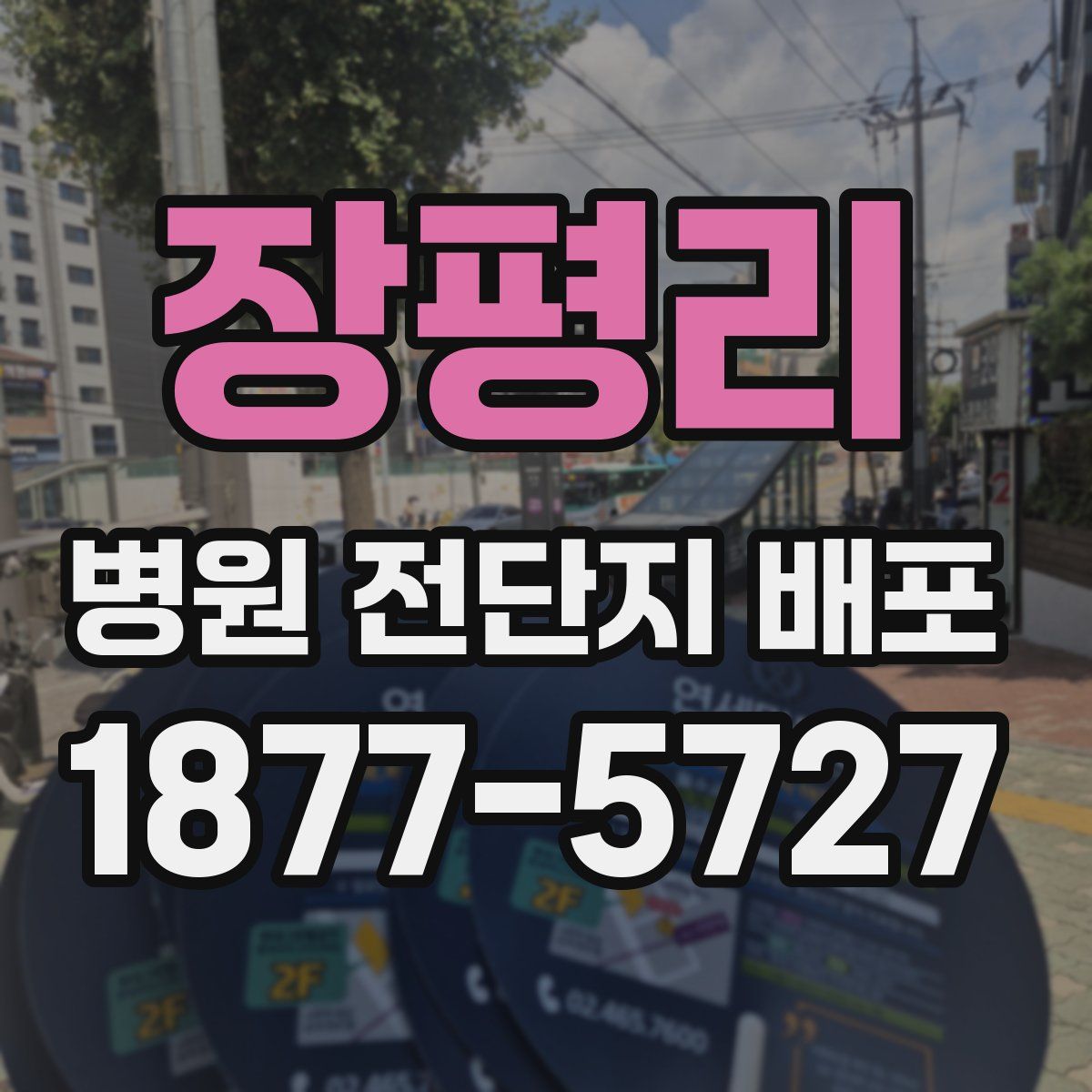 장평리 병원 전단지 배포