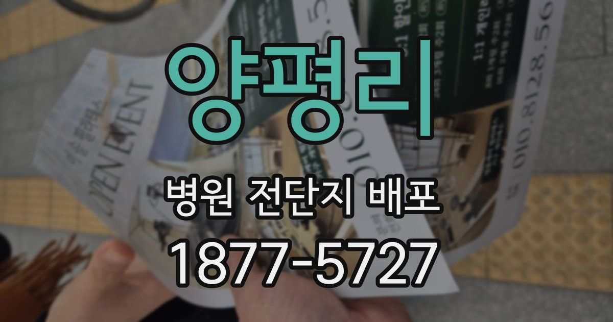 양평리 병원 전단지 배포