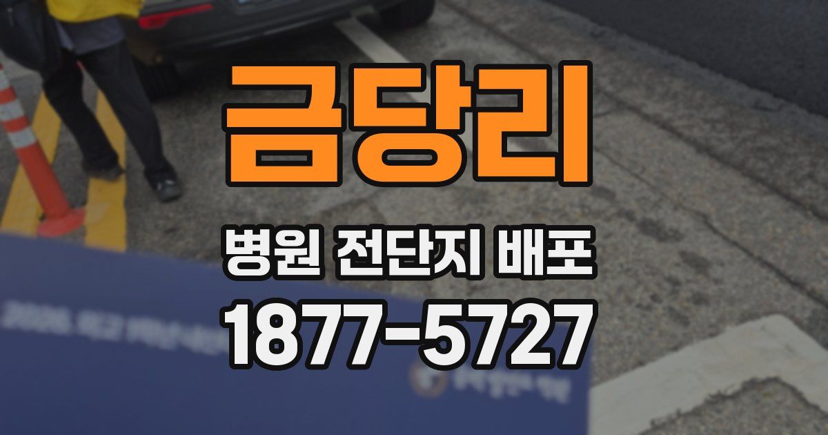 금당리 병원 전단지 배포
