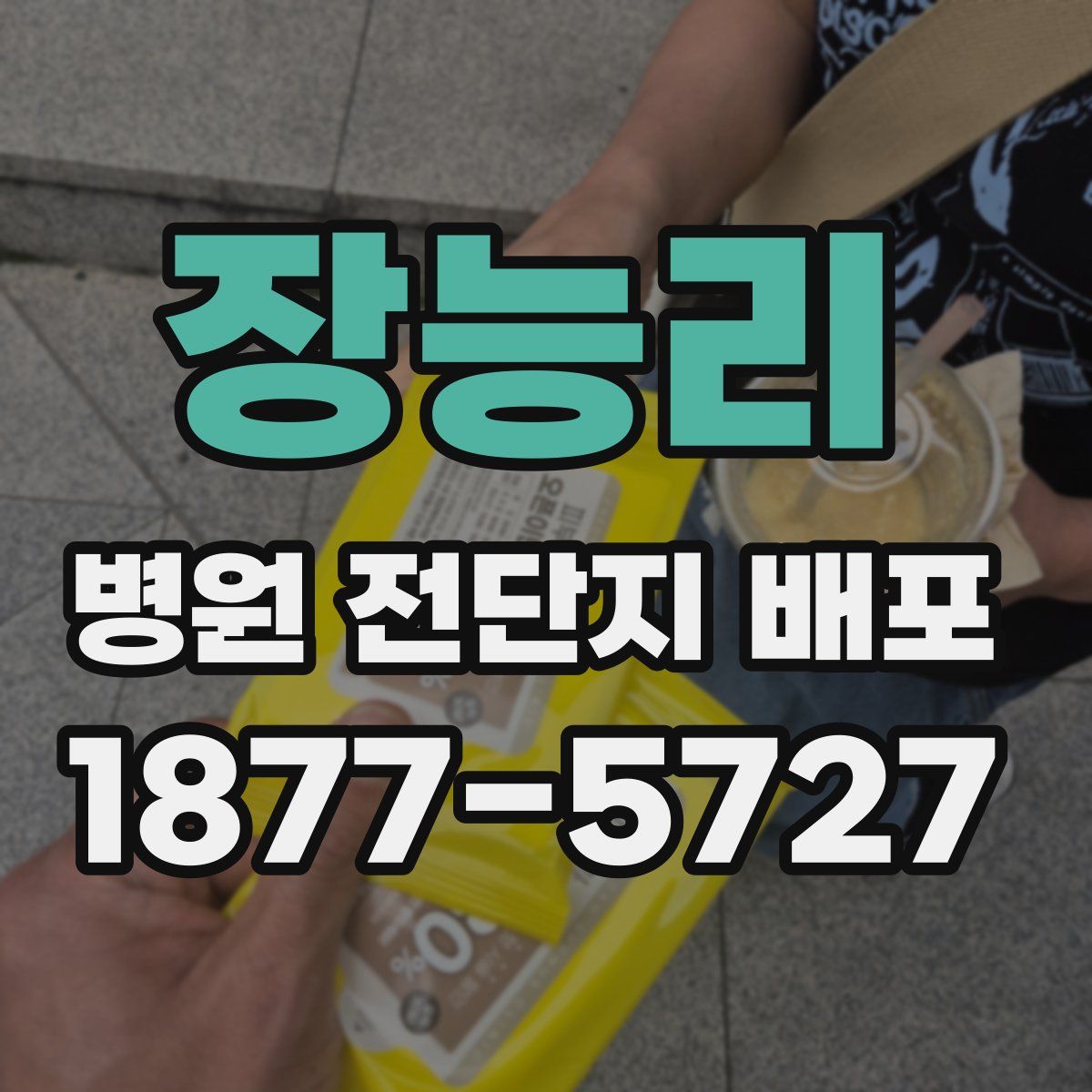 장능리 병원 전단지 배포