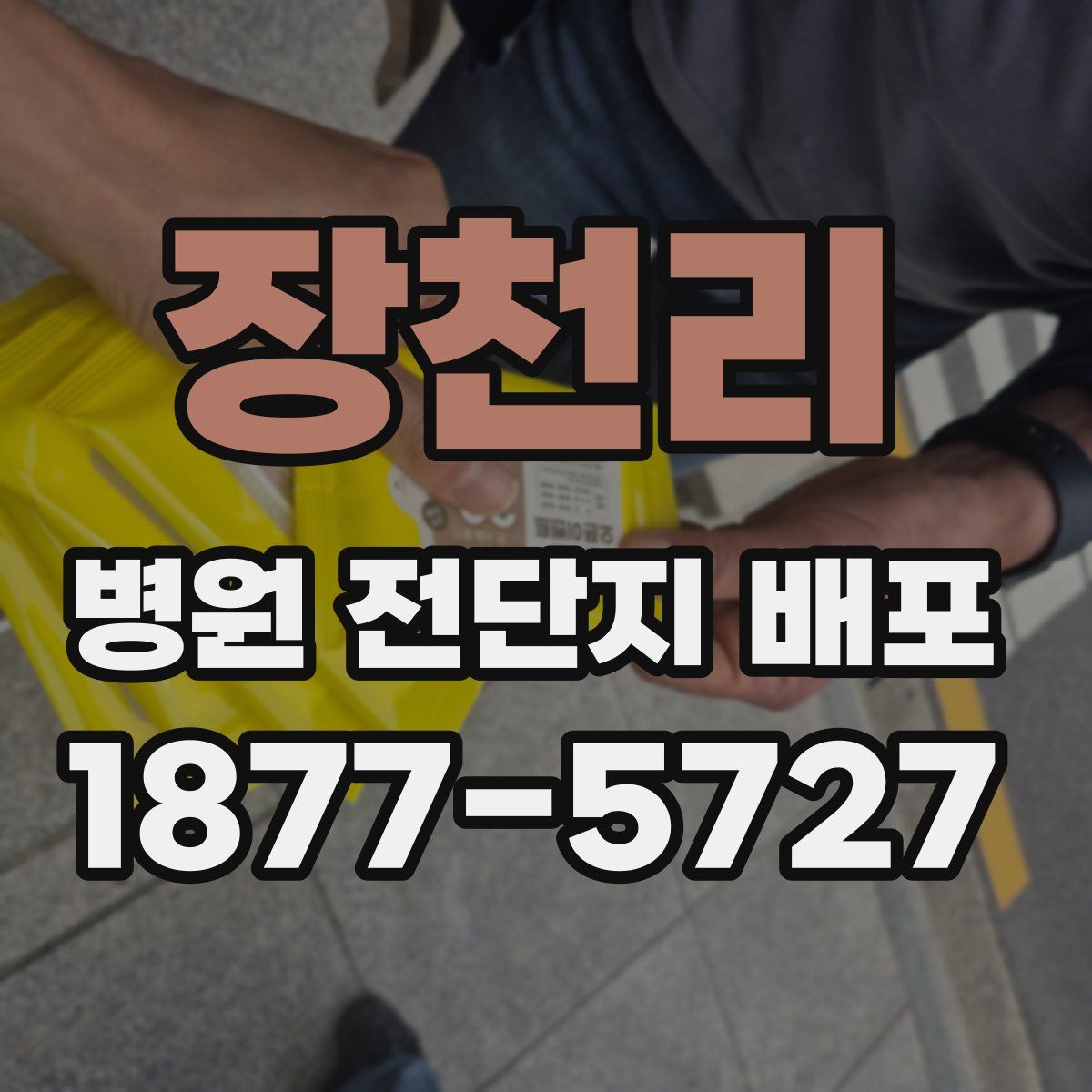 장천리 병원 전단지 배포