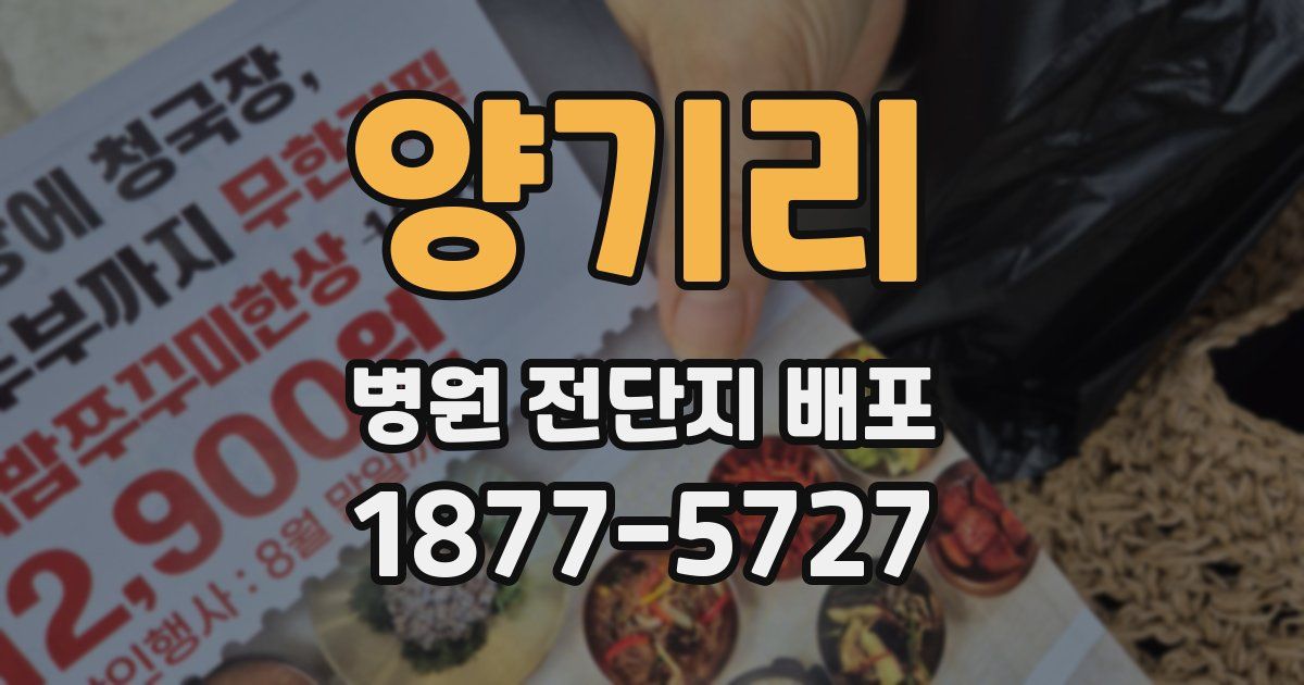 양기리 병원 전단지 배포