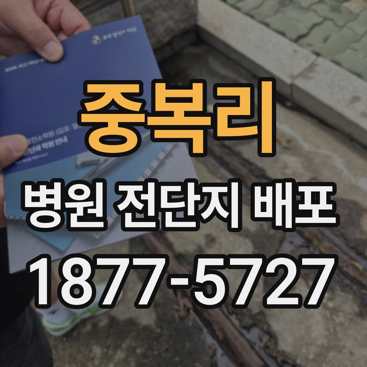 중복리 병원 전단지 배포
