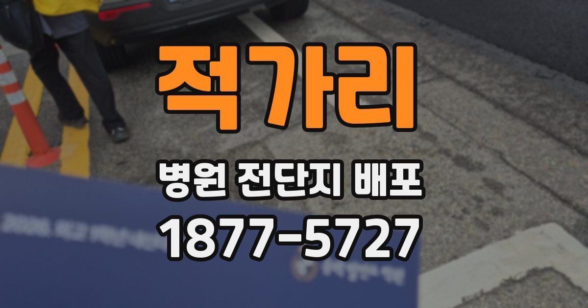 적가리 병원 전단지 배포