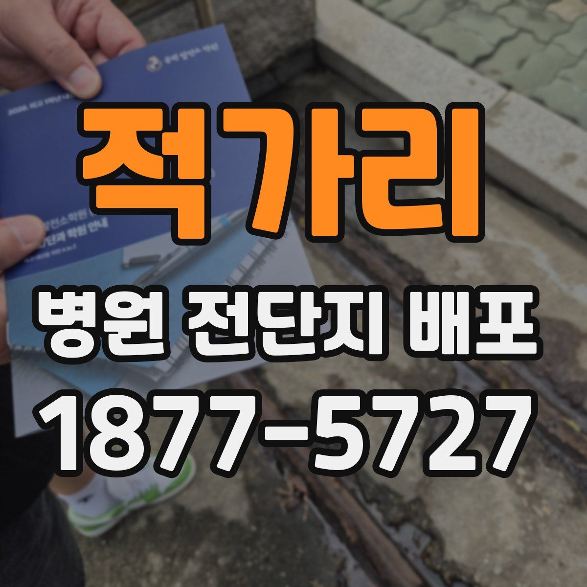 적가리 병원 전단지 배포