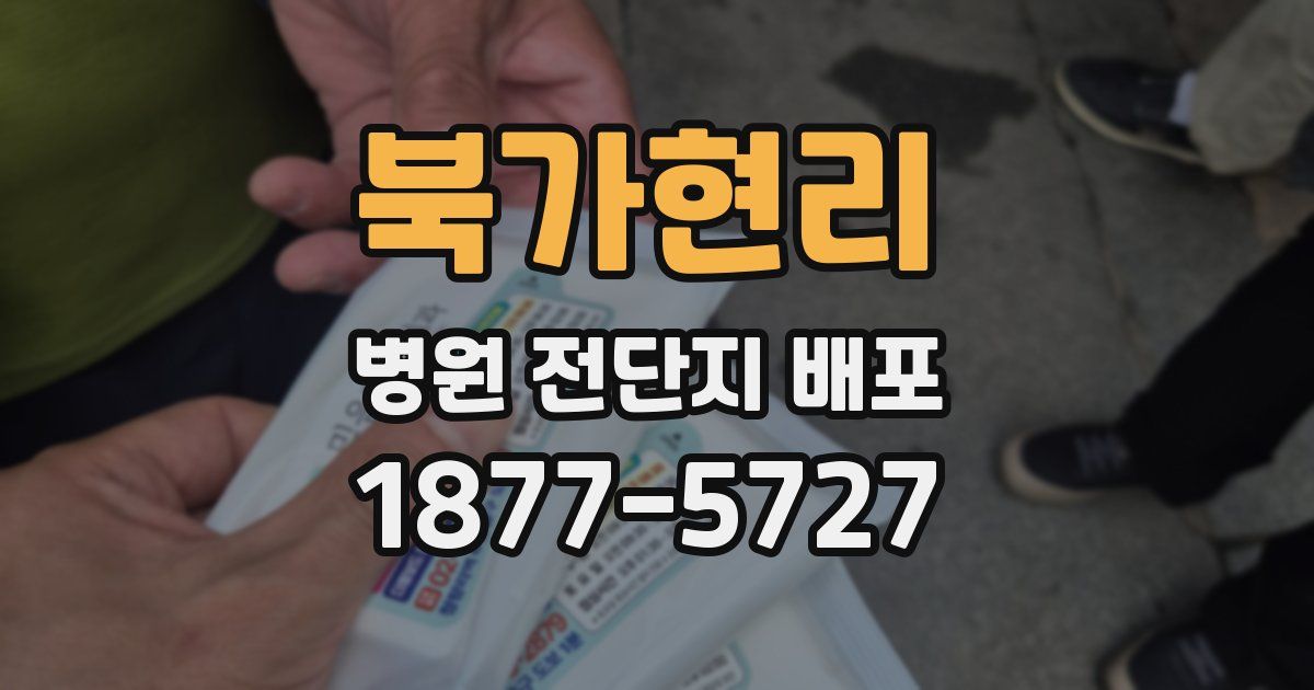 북가현리 병원 전단지 배포