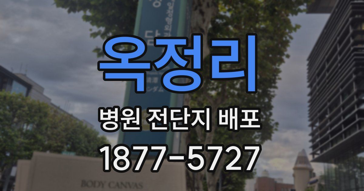옥정리 병원 전단지 배포