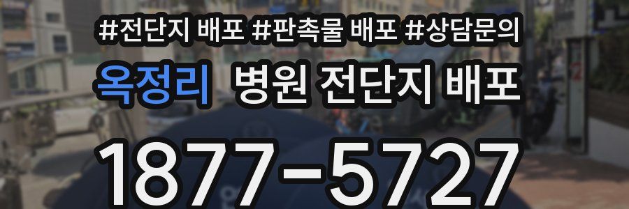 옥정리 병원 전단지 배포