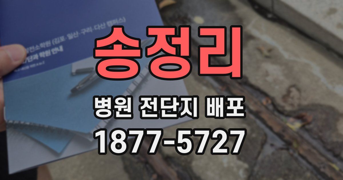 송정리 병원 전단지 배포