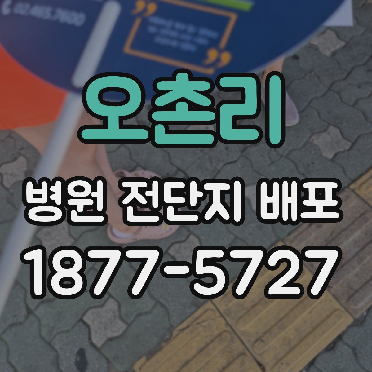 오촌리 병원 전단지 배포