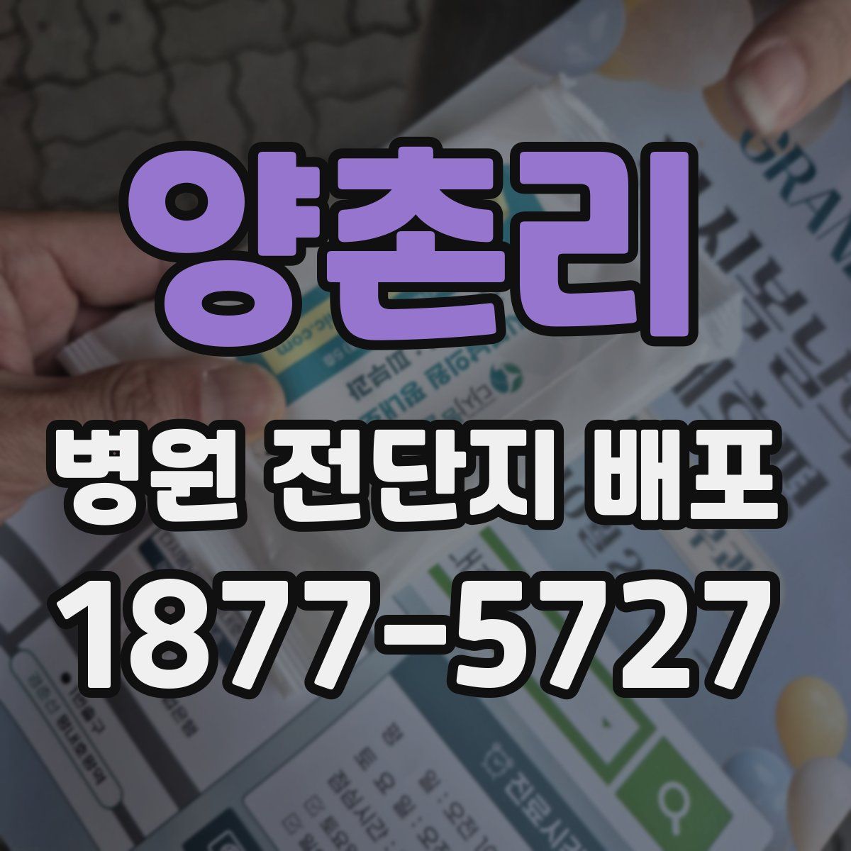 양촌리 병원 전단지 배포
