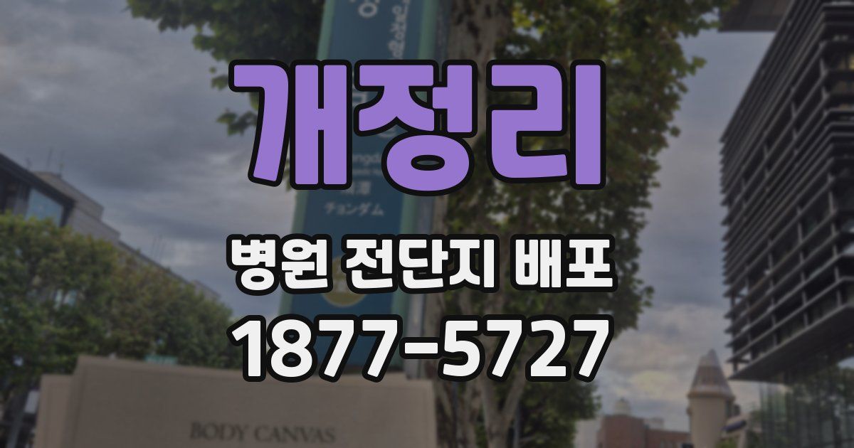 개정리 병원 전단지 배포