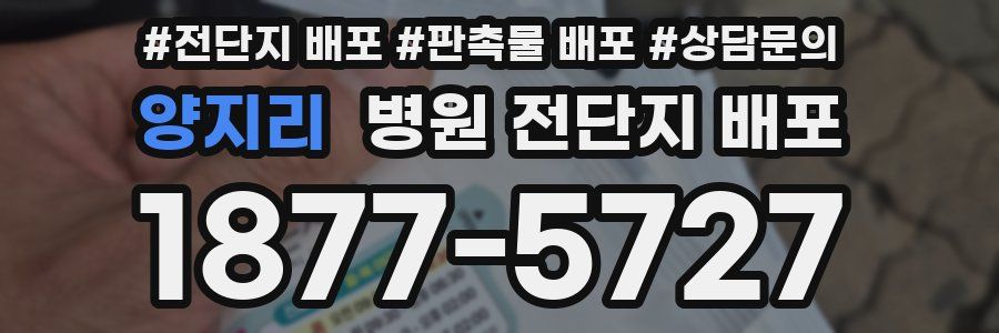 양지리 병원 전단지 배포