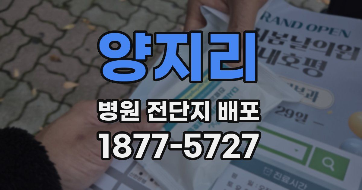 양지리 병원 전단지 배포