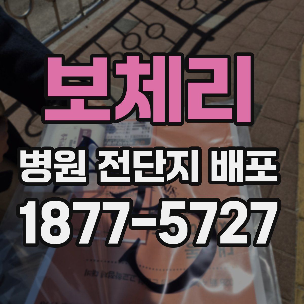 보체리 병원 전단지 배포