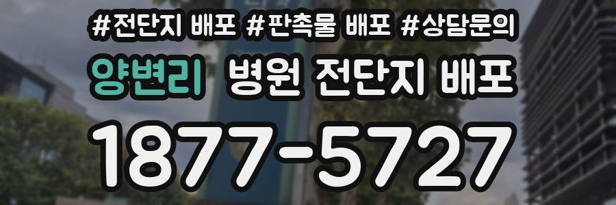 양변리 병원 전단지 배포