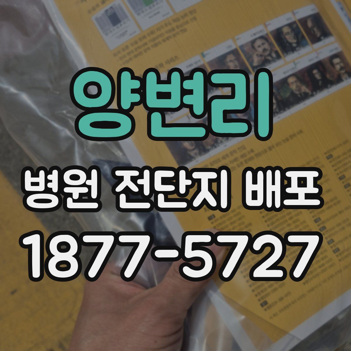 양변리 병원 전단지 배포