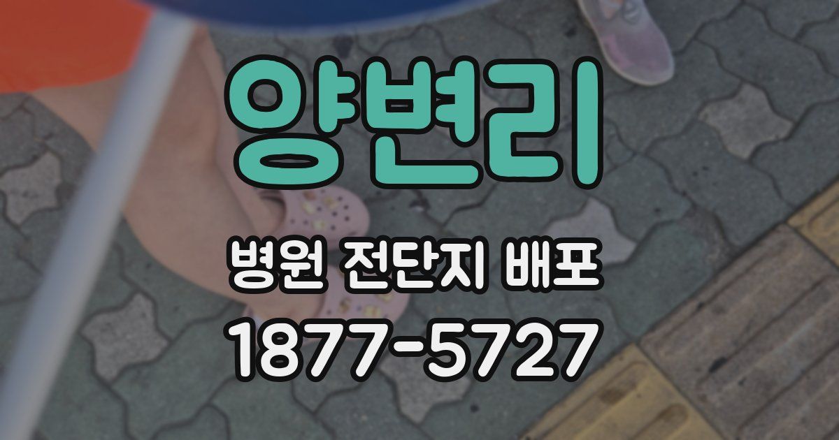양변리 병원 전단지 배포