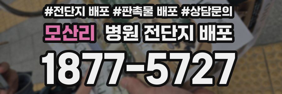 모산리 병원 전단지 배포