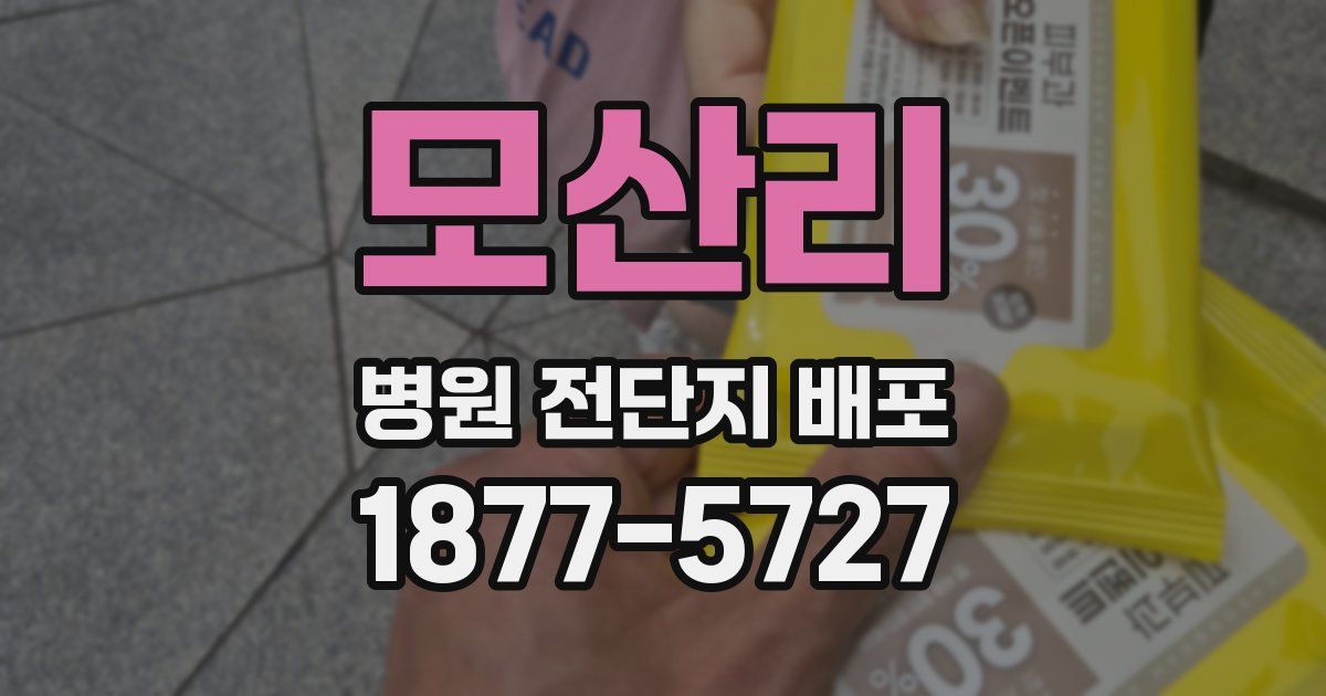 모산리 병원 전단지 배포