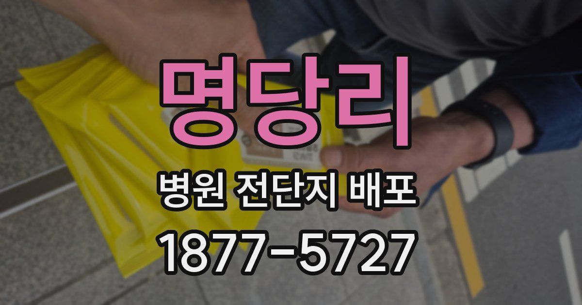 명당리 병원 전단지 배포