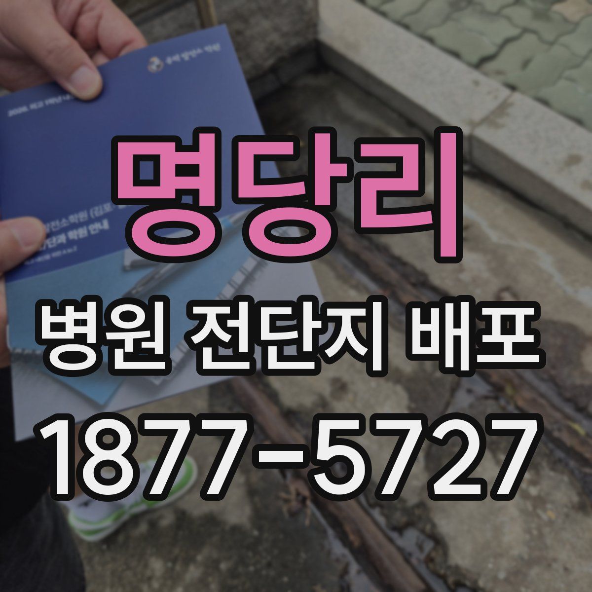 명당리 병원 전단지 배포