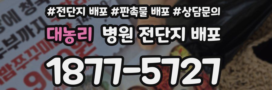 대농리 병원 전단지 배포