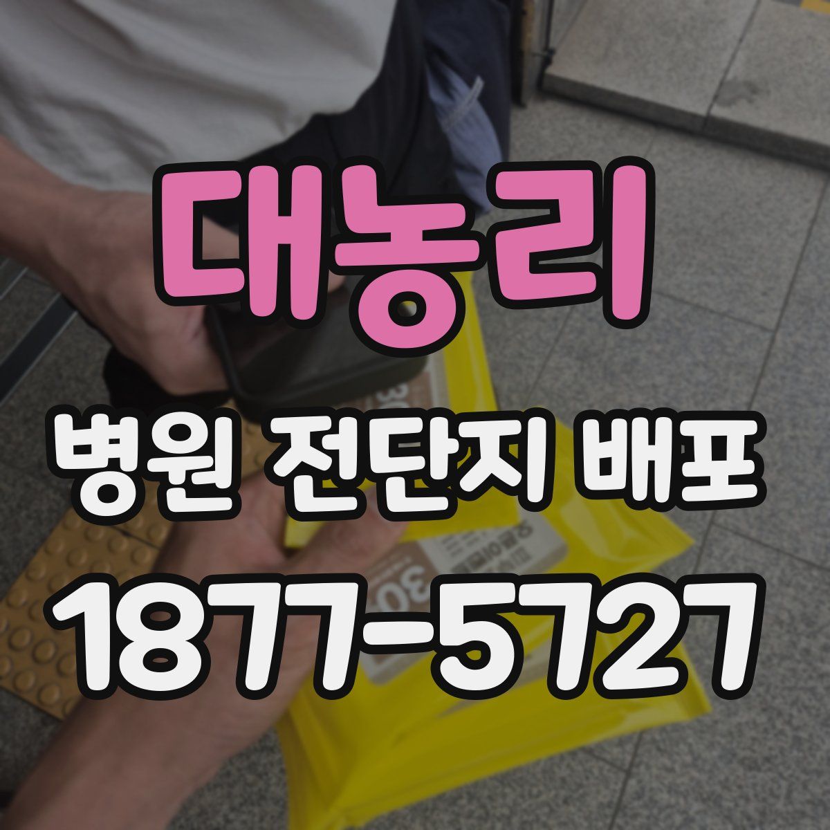 대농리 병원 전단지 배포