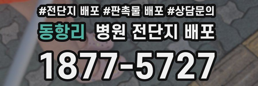 동항리 병원 전단지 배포