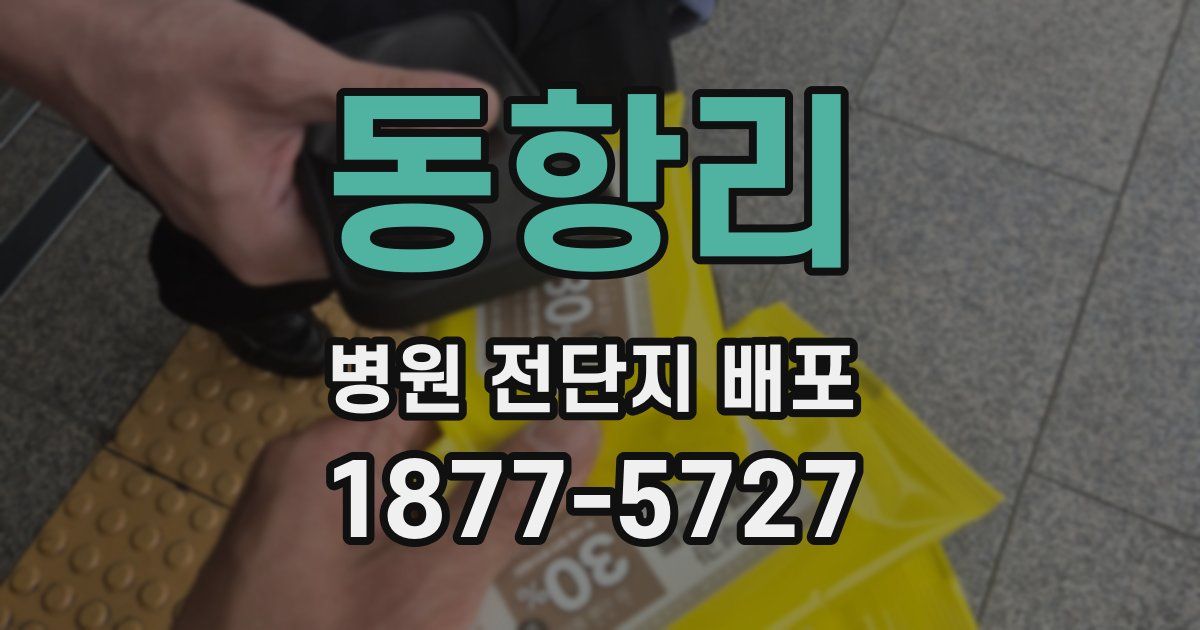 동항리 병원 전단지 배포