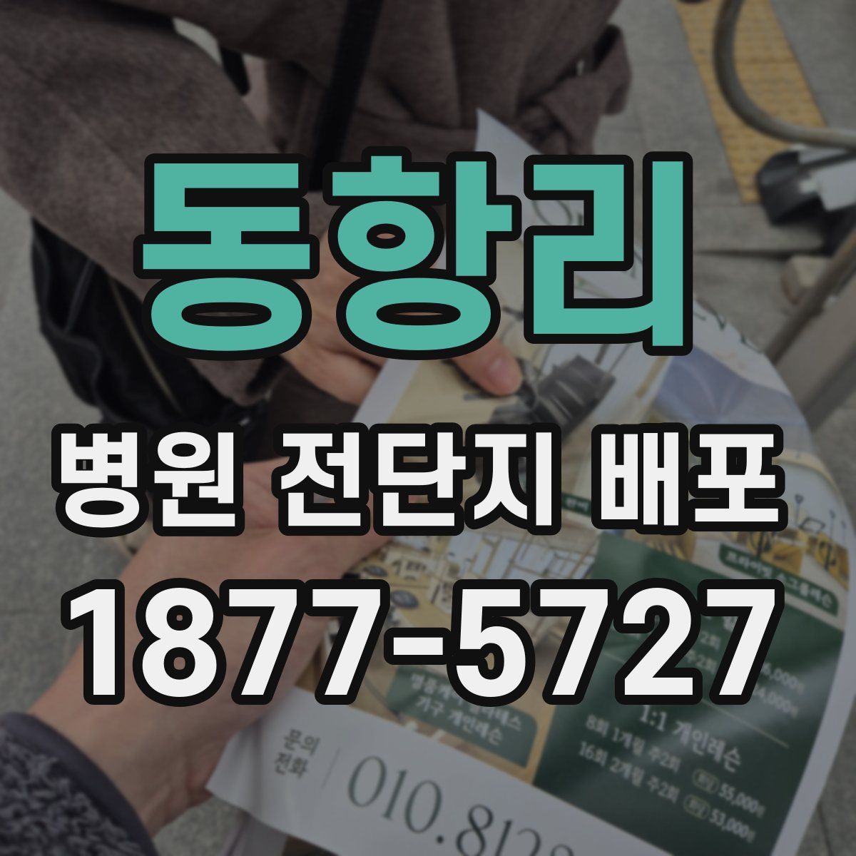 동항리 병원 전단지 배포