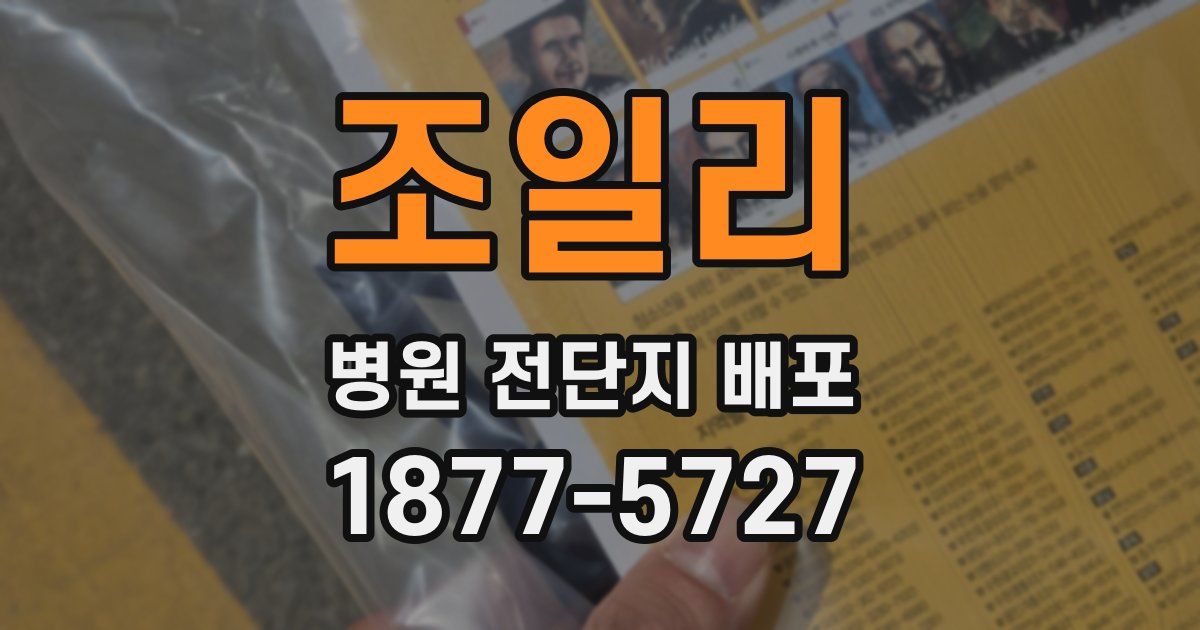 조일리 병원 전단지 배포