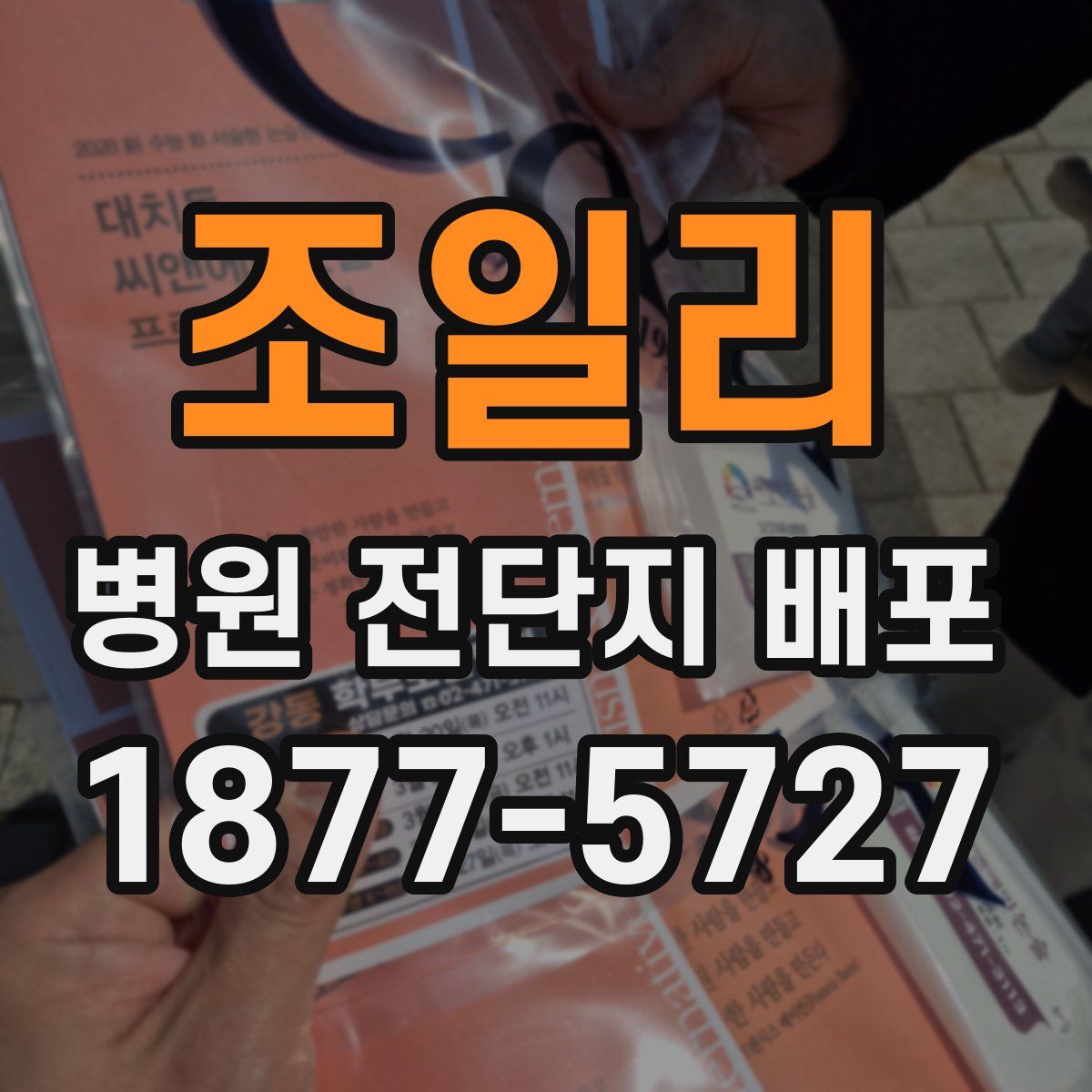 조일리 병원 전단지 배포